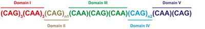 Complexity of the Genetics and Clinical Presentation of Spinocerebellar Ataxia 17